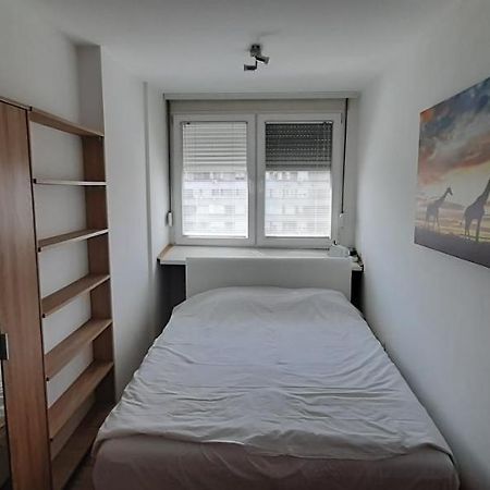 Apartman Sumice 贝尔格莱德 外观 照片