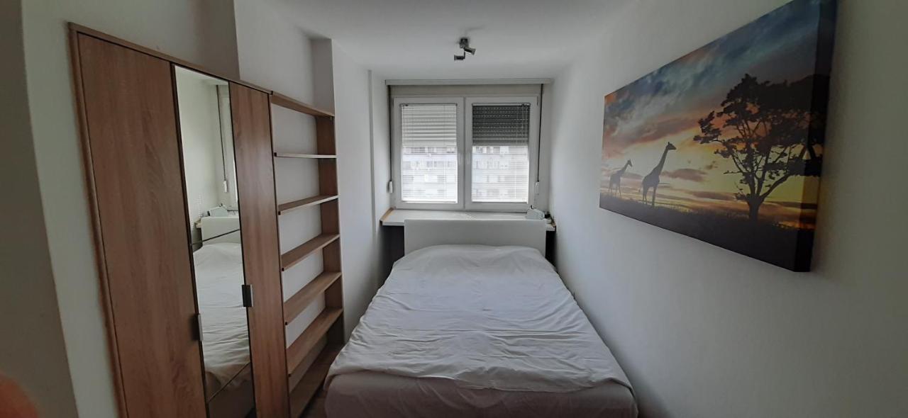 Apartman Sumice 贝尔格莱德 外观 照片